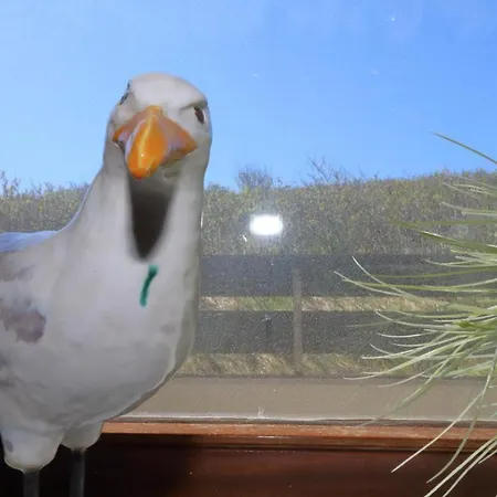 Haus Alice - Riebschlaeger 34-7 * Westerland